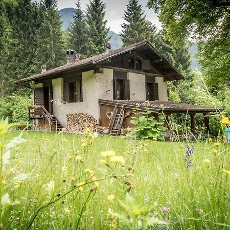 Chalet Silenthia Lenzumo di Concei Exterior foto