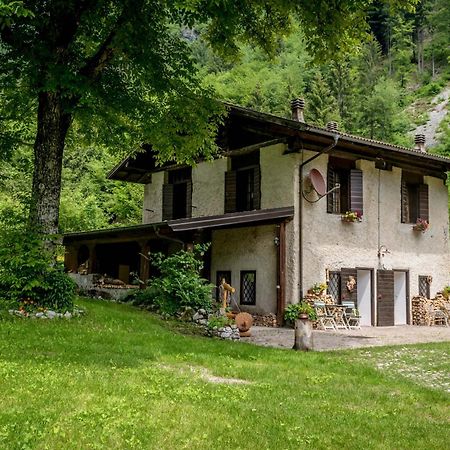 Chalet Silenthia Lenzumo di Concei Exterior foto