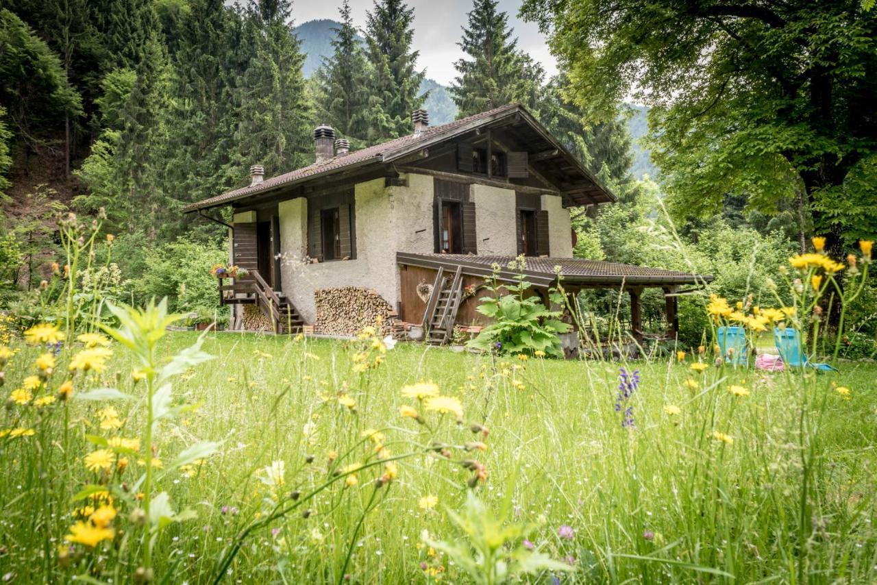 Chalet Silenthia Lenzumo di Concei Exterior foto
